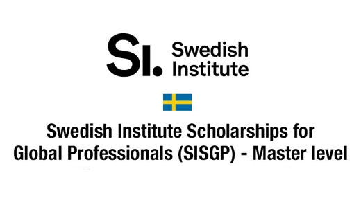 İsveç Enstitüsü Küresel Profesyoneller Burs Programı